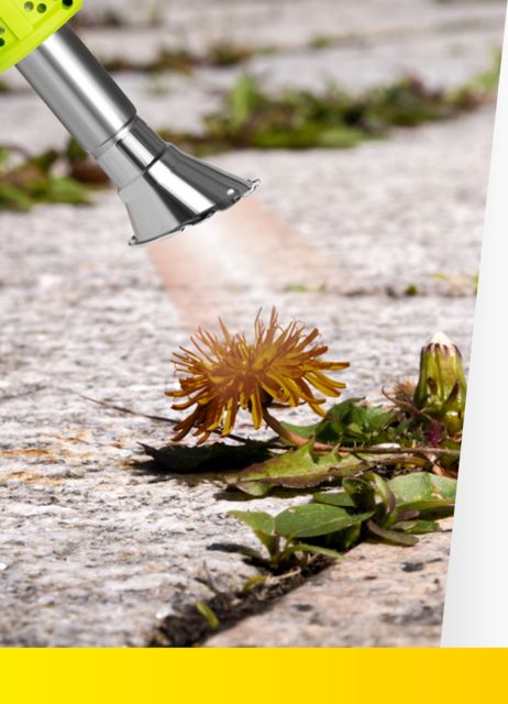 Kinzo Onkruidbrander 2000W - maximondo