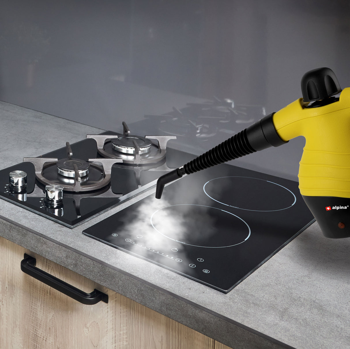 alpina Stoomreiniger Compact & Draagbaar - maximondo