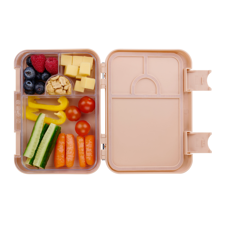 alpina Lunchbox Met Vakken 21x15 - maximondo
