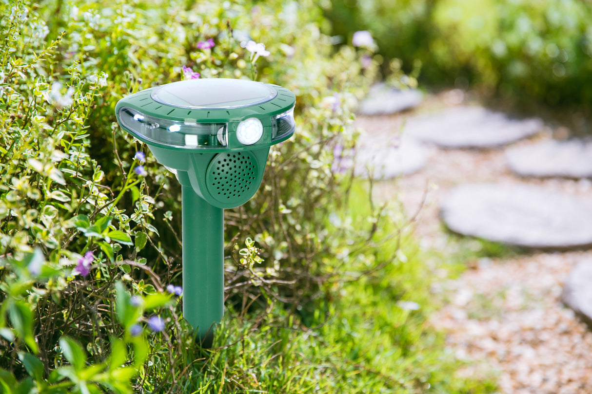 Grundig ultrasone ongedierteverjager - maximondo