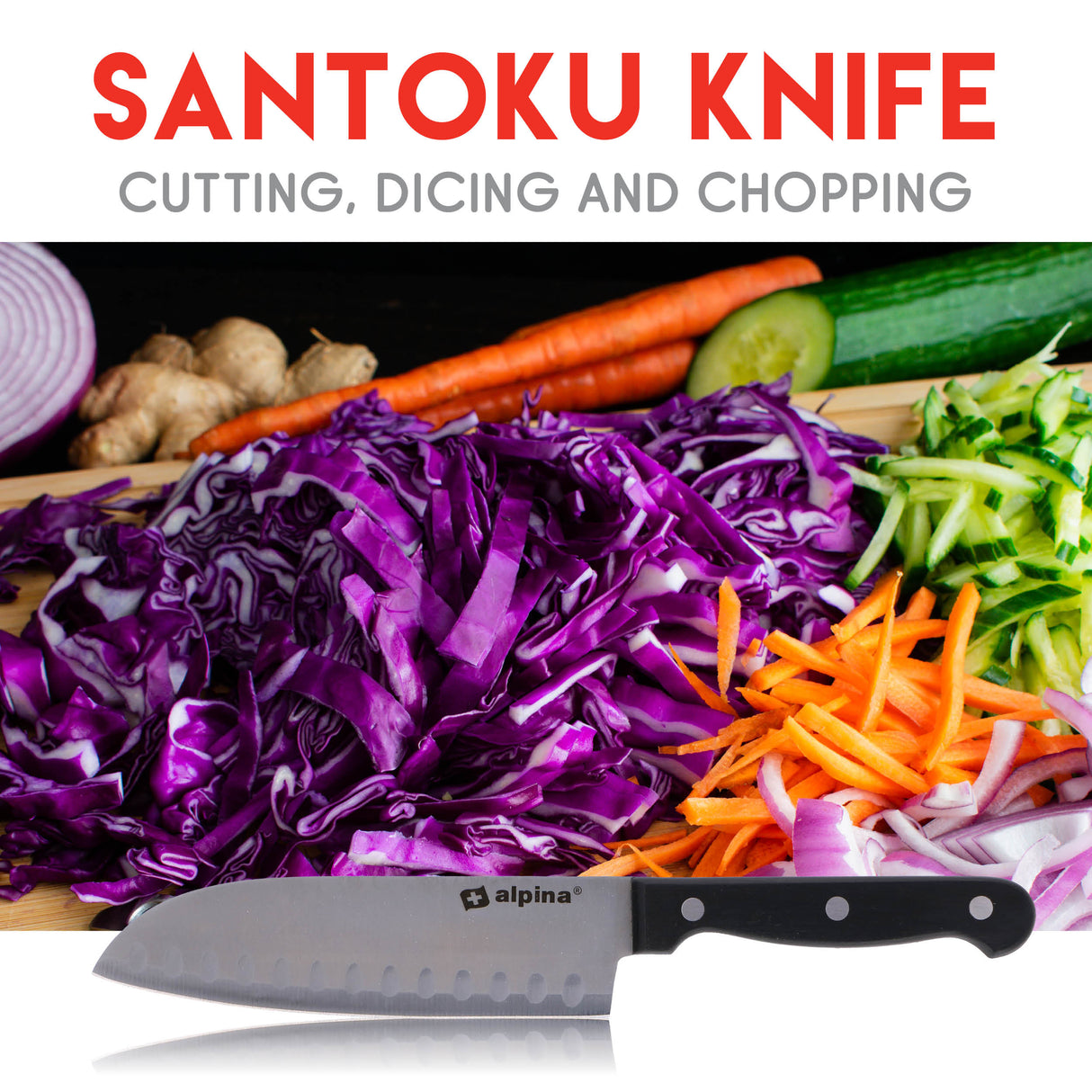 alpina Messenset 22Delig - maximondo