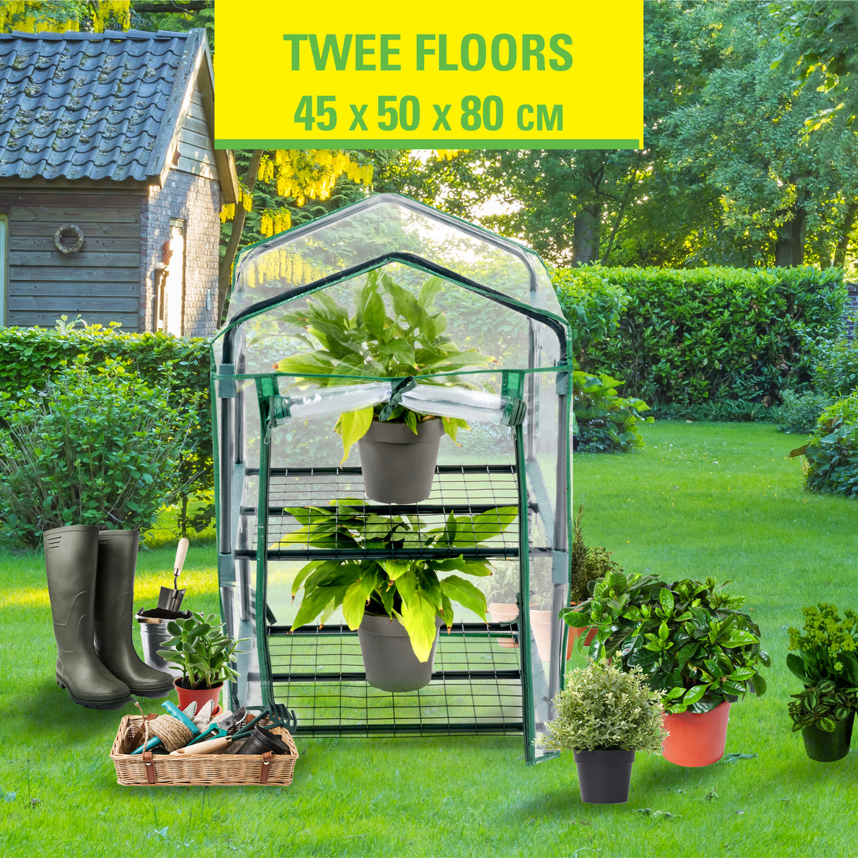 Kinzo Broeikas 2 Verd. - maximondo