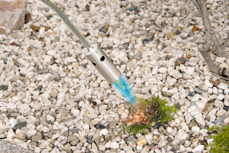 Kinzo Onkruidbrander 80 Cm Op Gas - maximondo