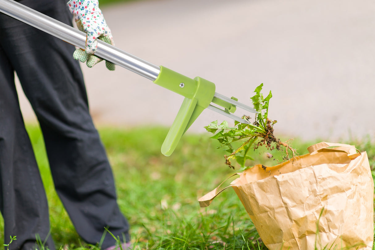 Kinzo onkruidsteker - maximondo