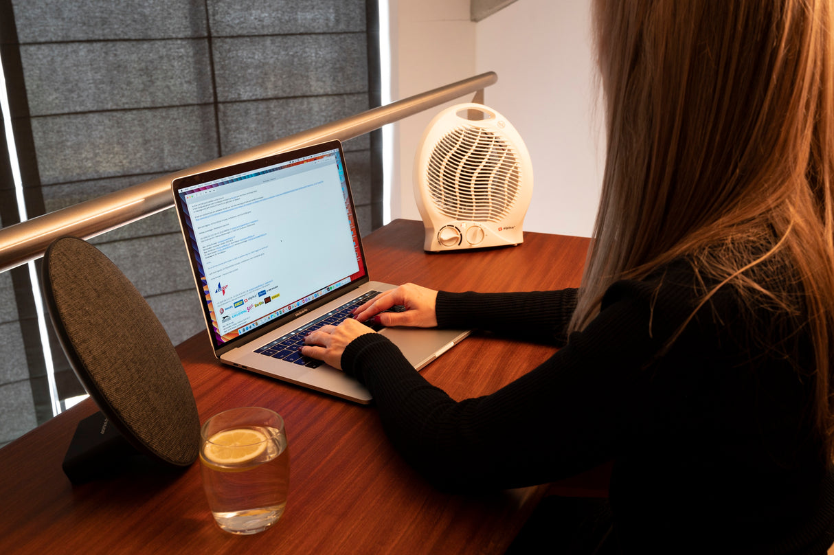 alpina Ventilatorkachel 2000W – 2 Warmtestanden