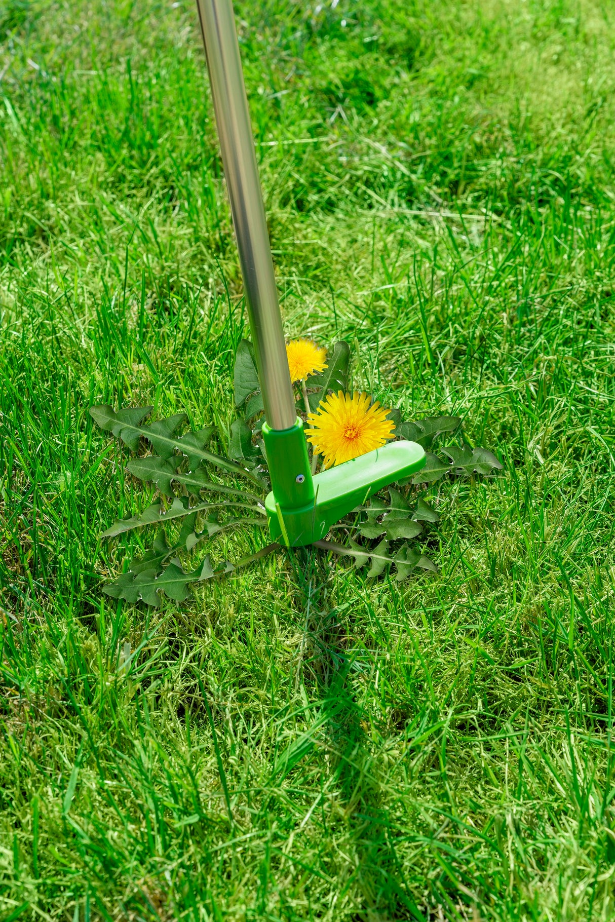 Kinzo onkruidsteker - maximondo