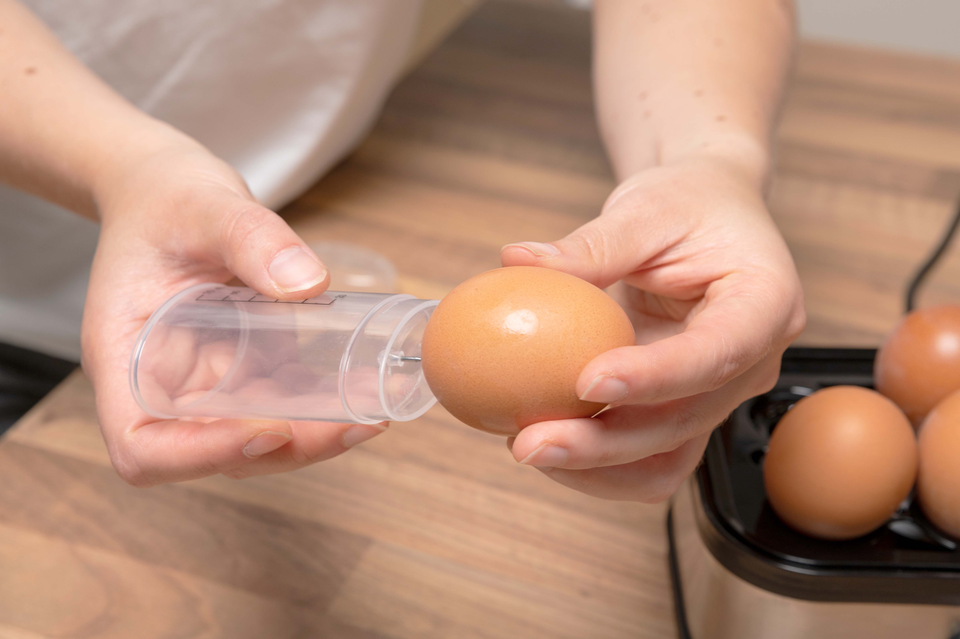 alpina Eierkoker 230V - maximondo