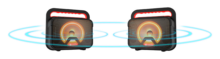 BT speaker ROKR 810 40W BLK - maximondo