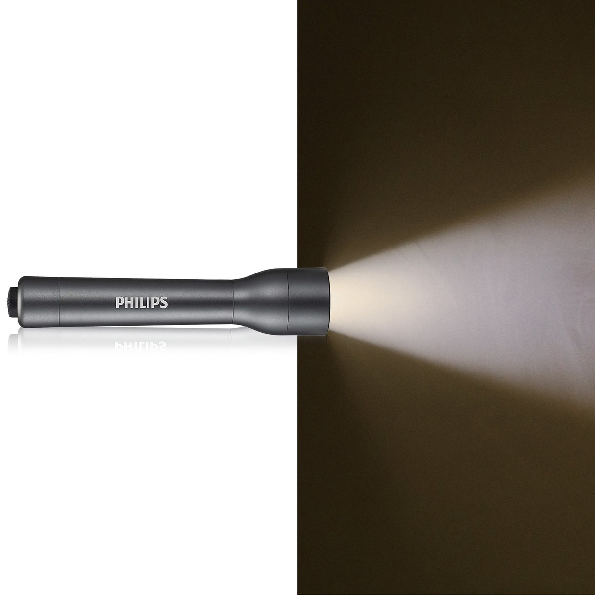 Philips Zaklamp SFL4002T LED - maximondo
