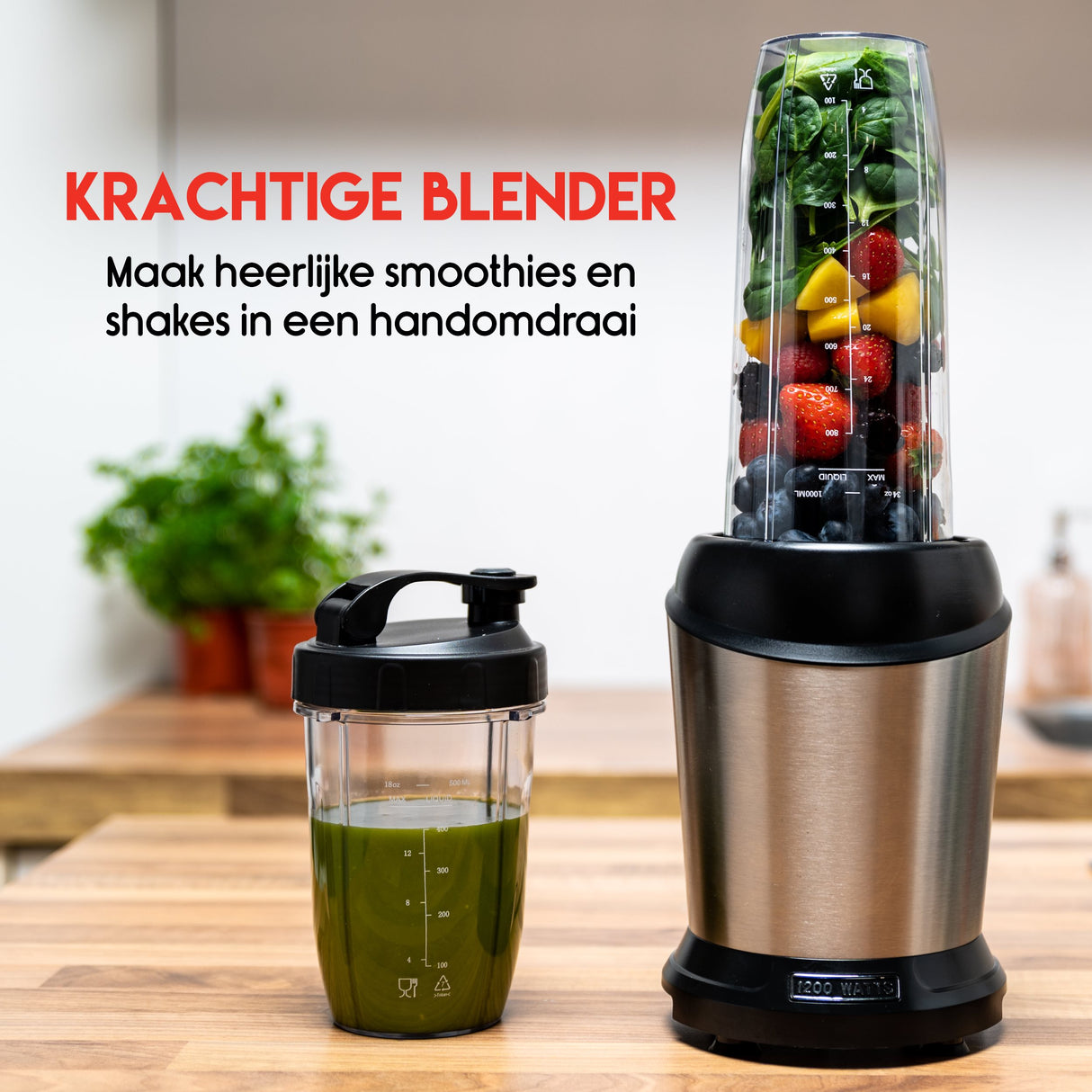alpina Smoothie Maker 1200 W - maximondo