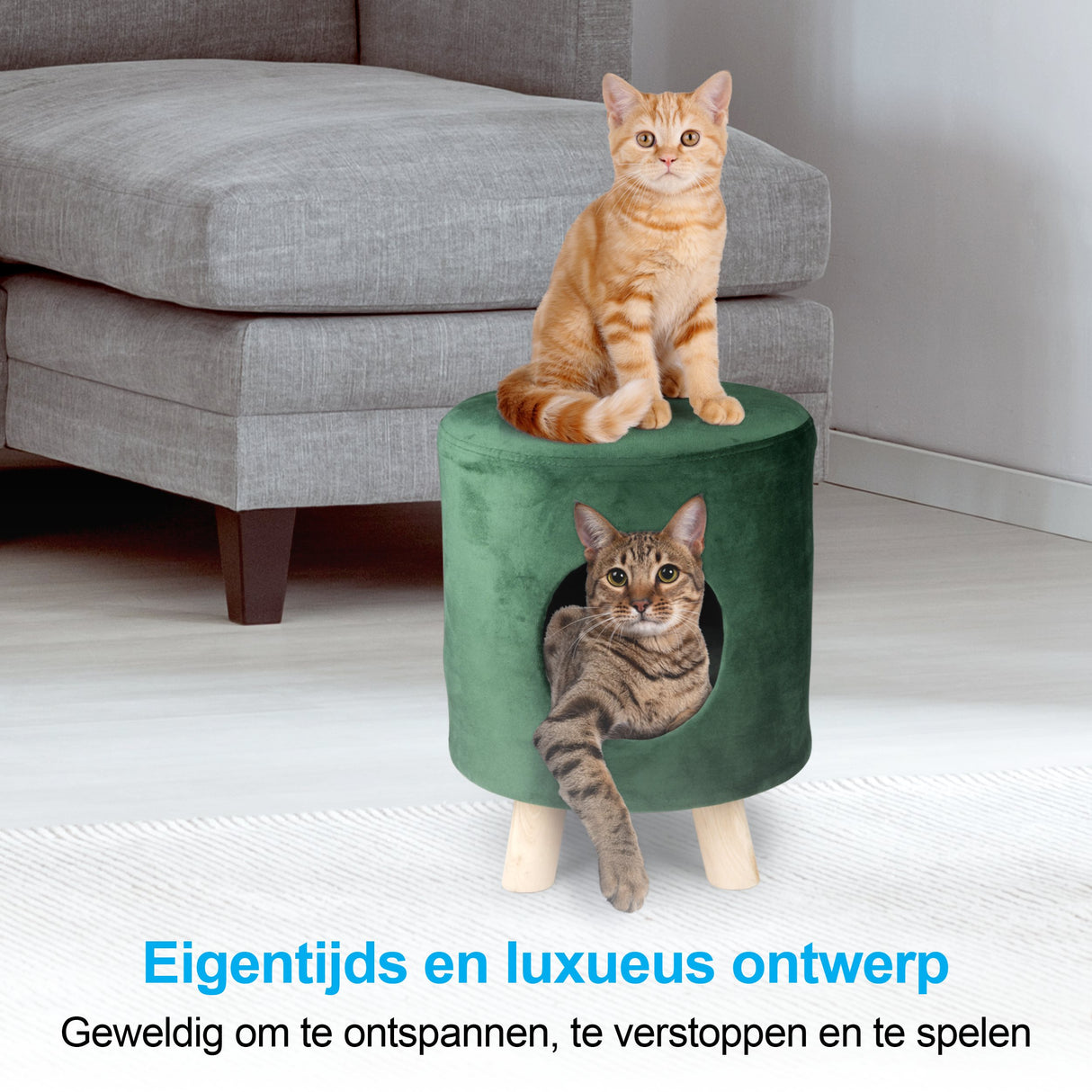 maxxpro Kattenmand op Pootjes Poef - maximondo