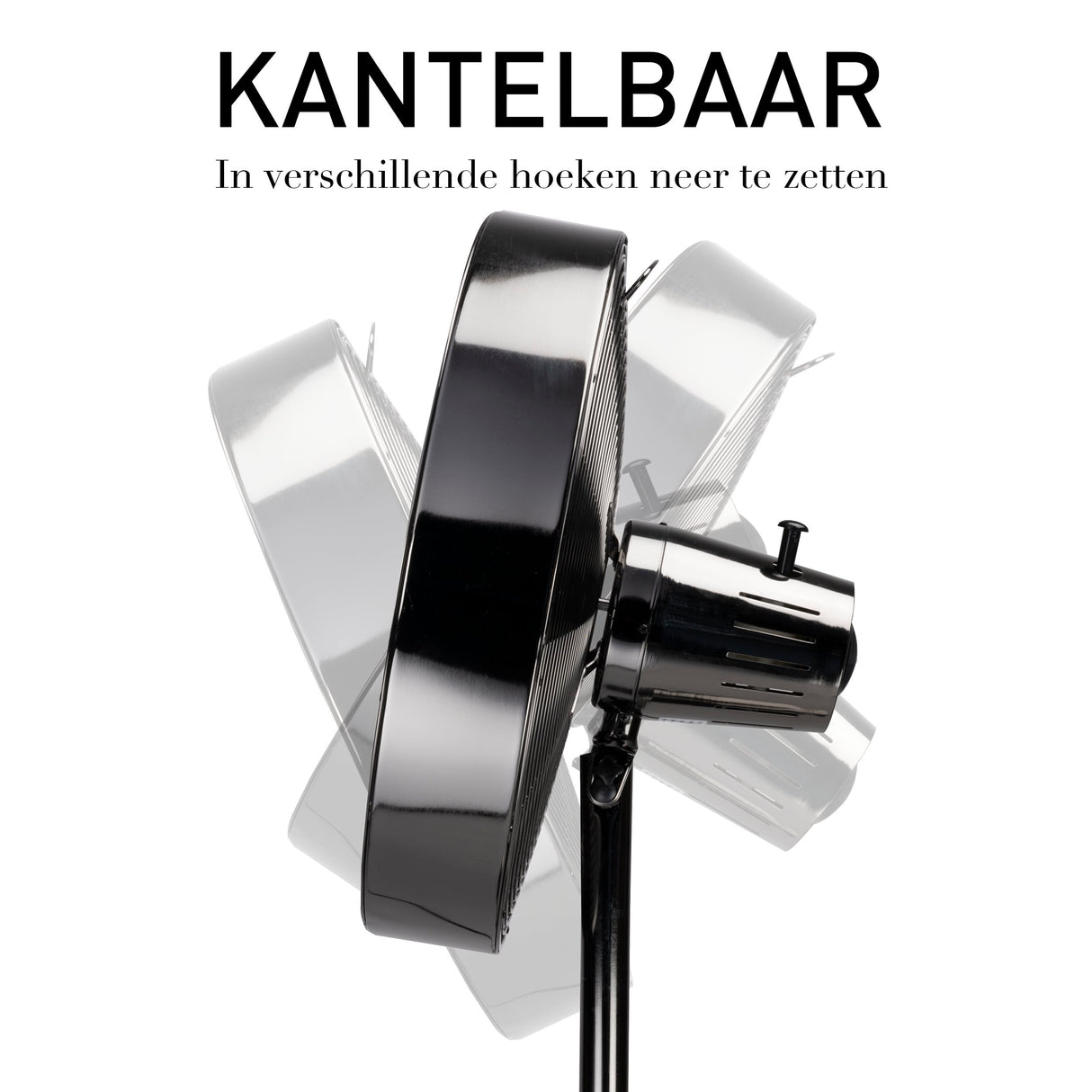 Lifetime Air Statiefventilator 230V - maximondo