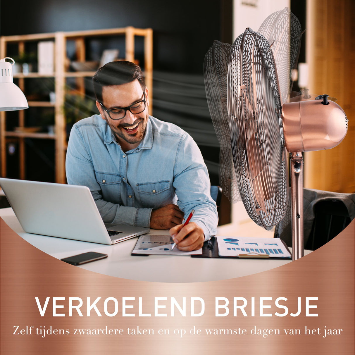 Lifetime Air Statiefventilator 230V - maximondo