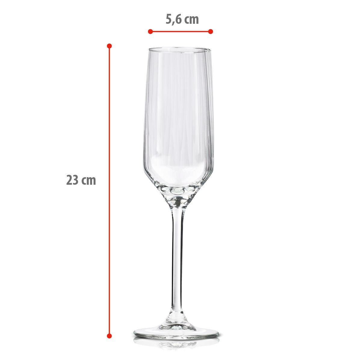 alpina Champagneglazen - Set van 4 - maximondo