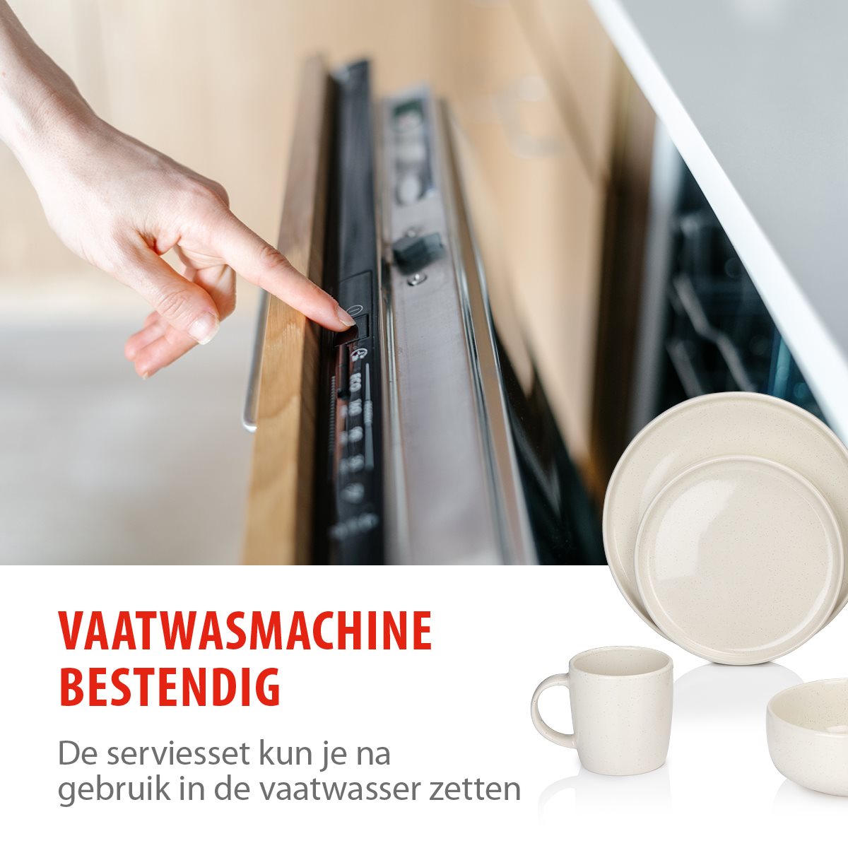 alpina Serviesset 16Delig - 4 Persoons Bordenset - maximondo