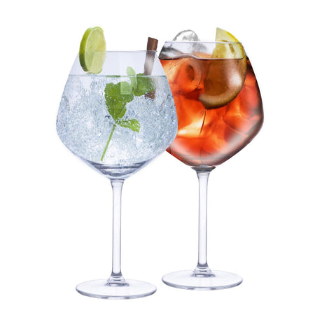 alpina Gin Tonic Glazen Set 73 cl - maximondo