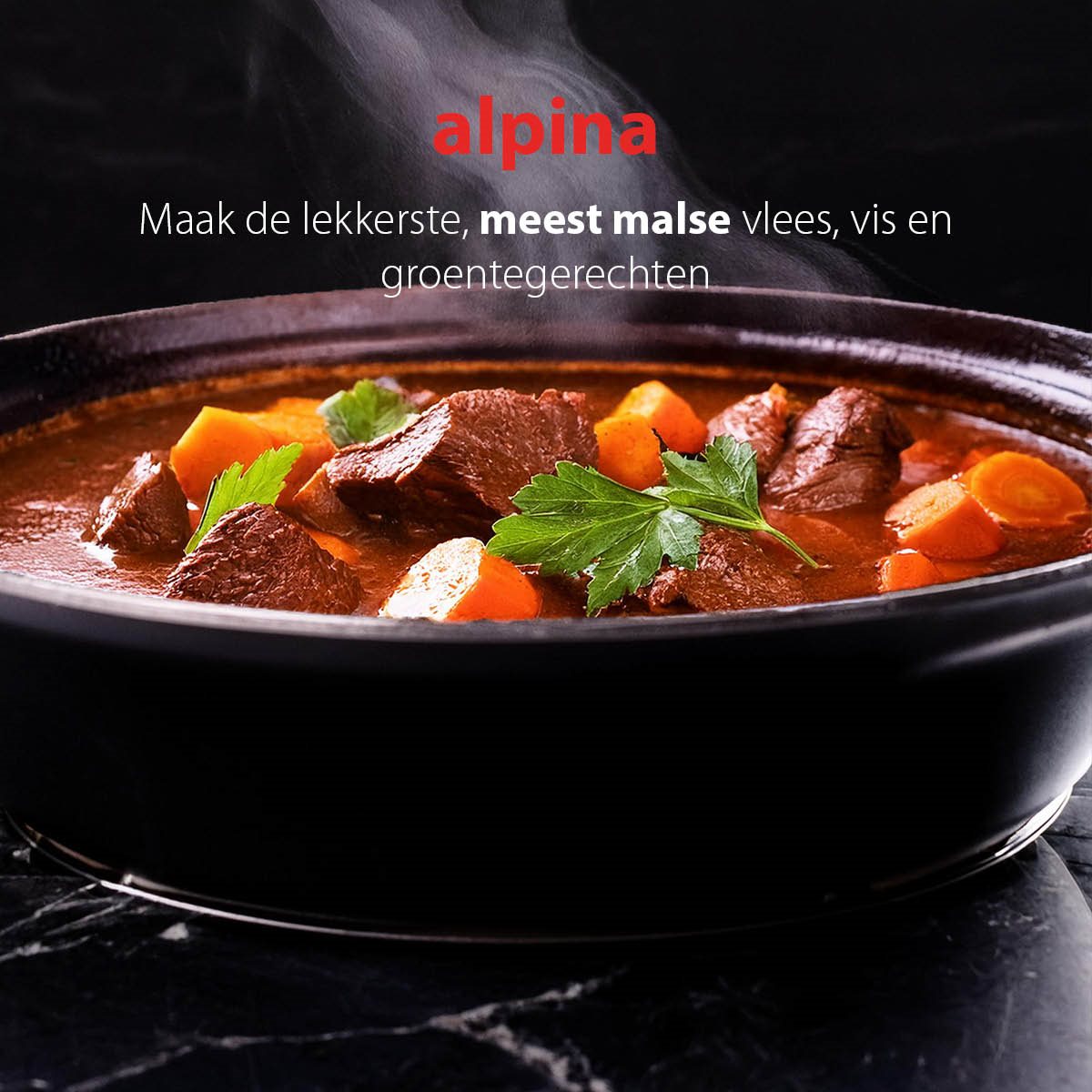 alpina Tajine Pan 2.5L, Inductie. - maximondo