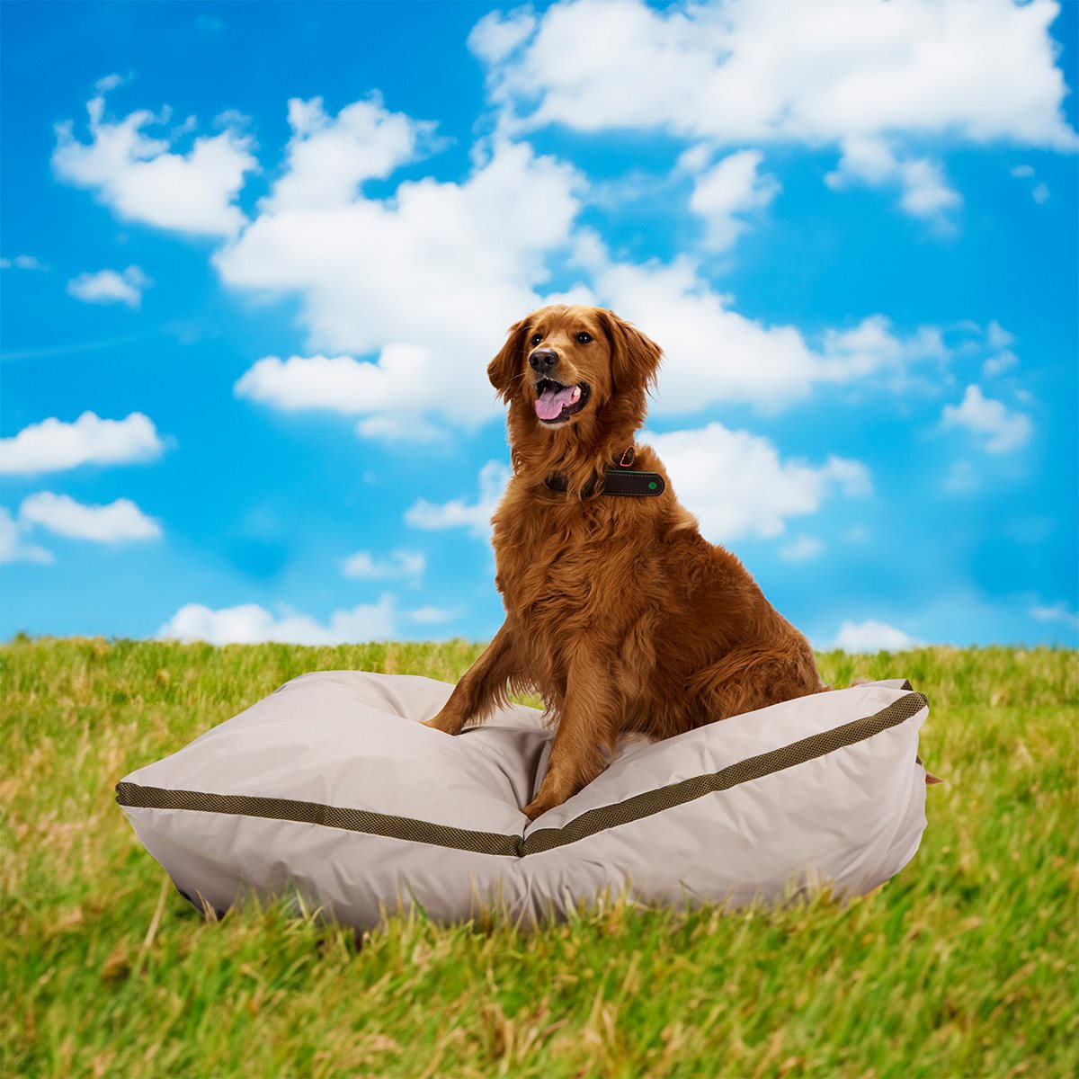 maxxpro Hondenbed M - Hondenkussen 70x100 cm - Beige - maximondo