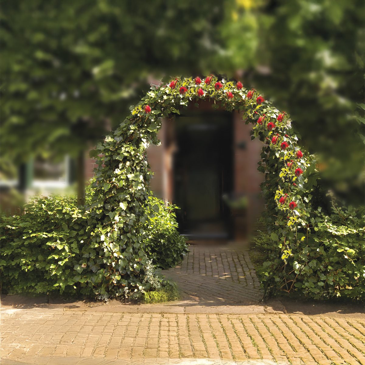 Kinzo Rozenboog Metaal 240 x 140 cm - maximondo