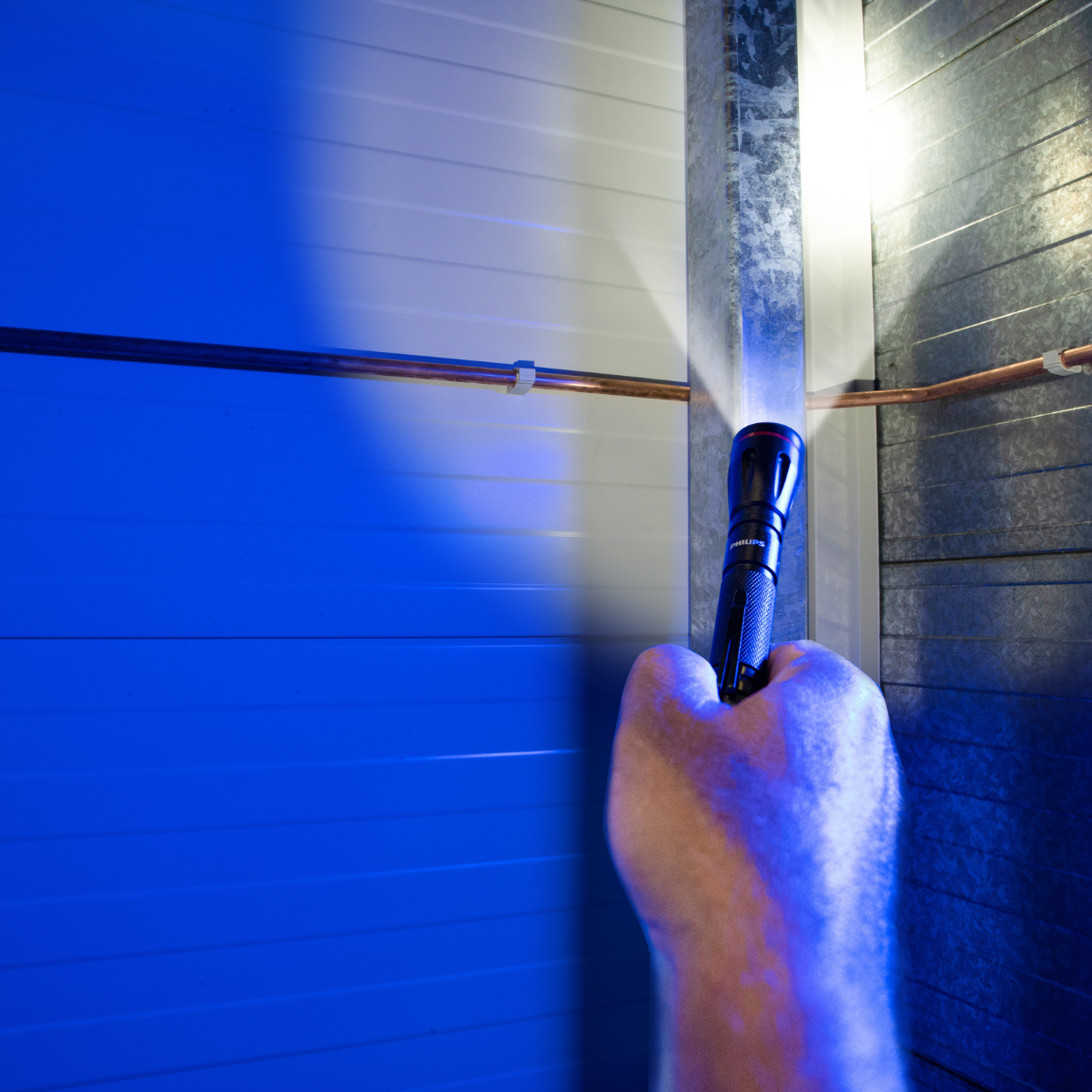 Philips Zaklamp LED - maximondo