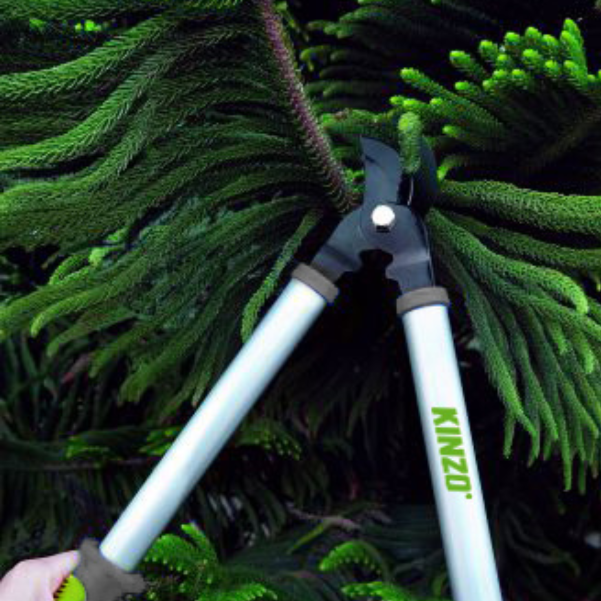 Kinzo Snoeischaar 48 cm - maximondo