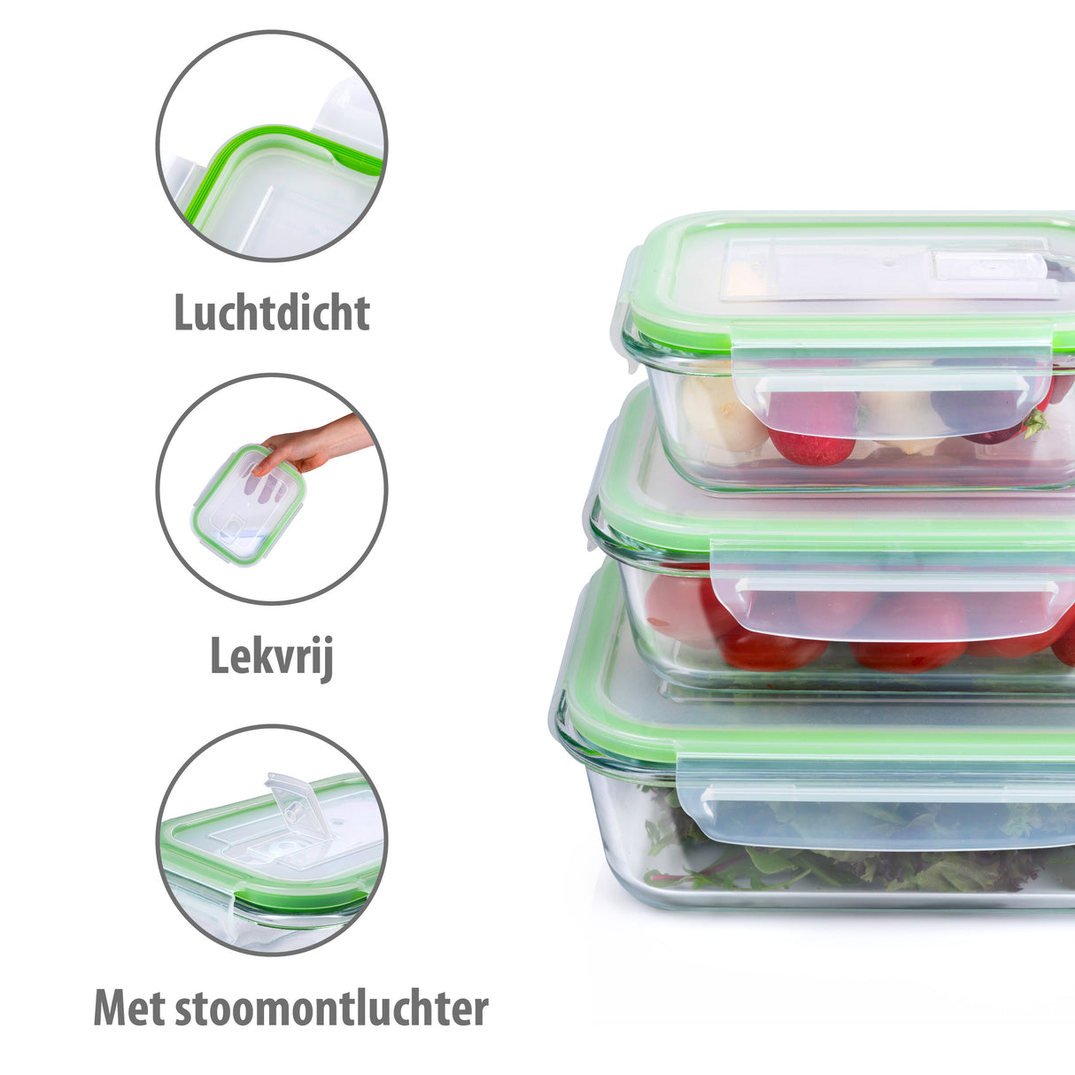 alpina Vershoudbakjes 6Delig met Deksel - maximondo
