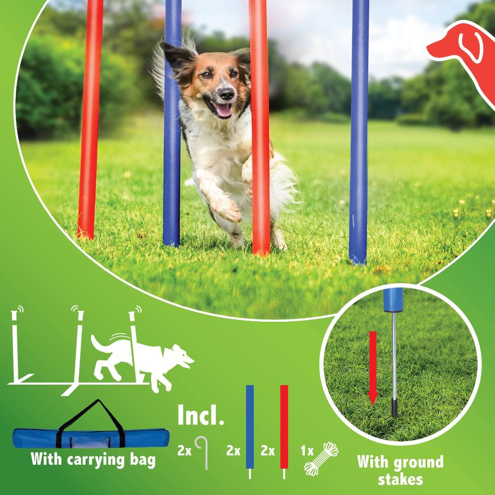 maxxpro Agility Set - maximondo