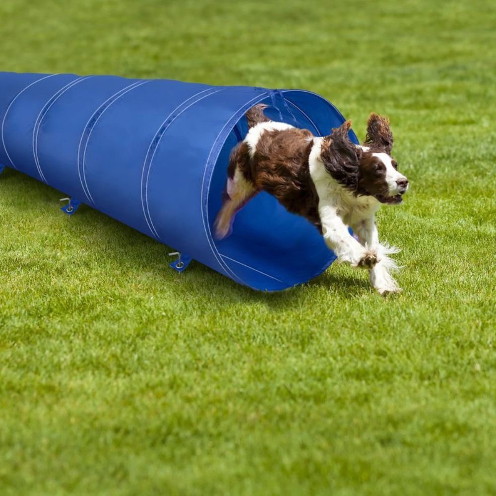 maxxpro Agility Hond Tunnel - maximondo