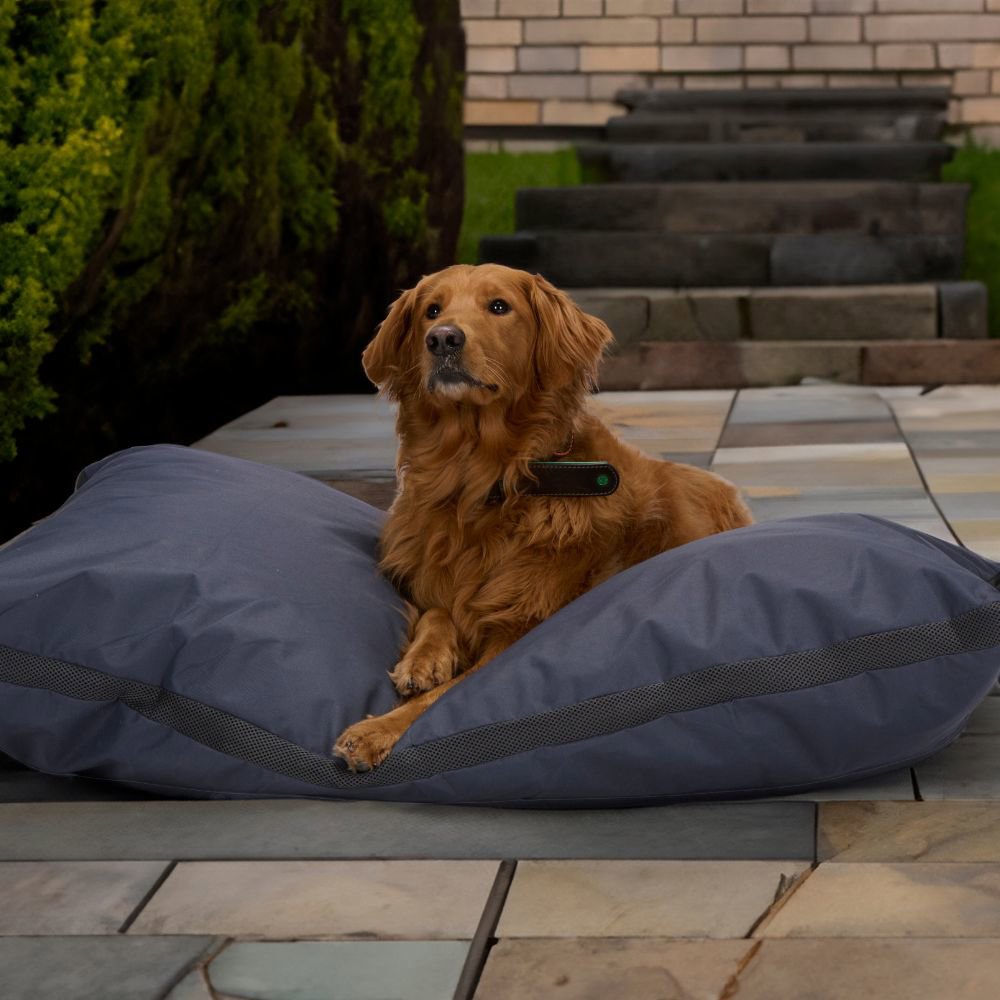 maxxpro Hondenmand Grijs - maximondo