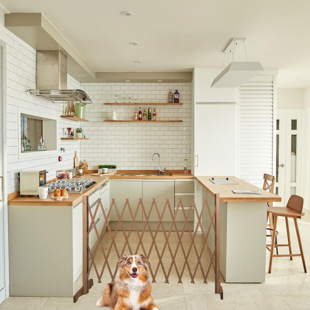 maxxpro Uitschuifbaar Hondenhek - maximondo