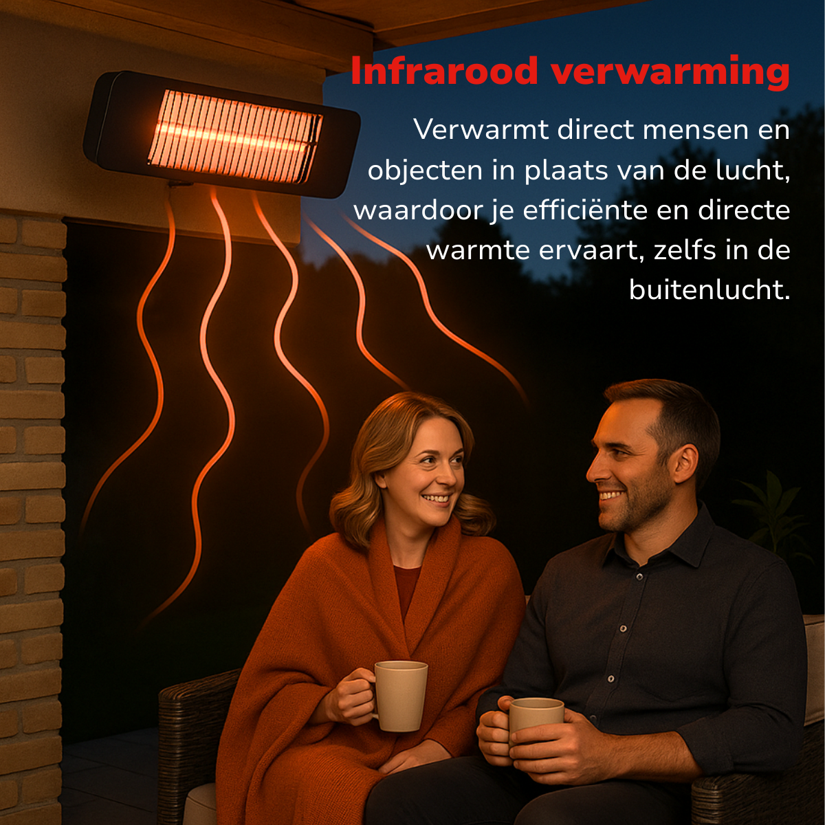 alpina Infrarood Heater - maximondo