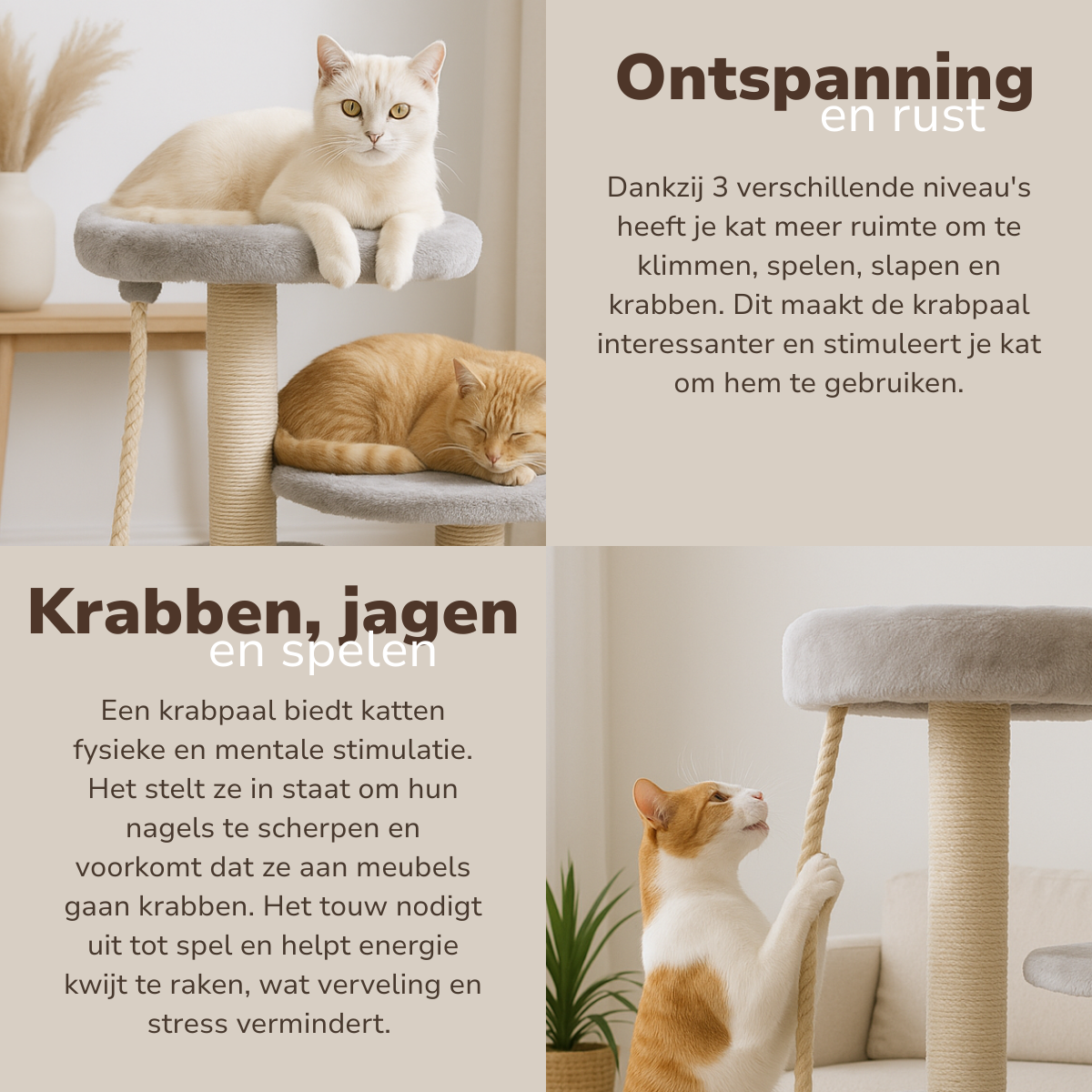 maxxpro Krabpaal voor Katten 62 CM - maximondo