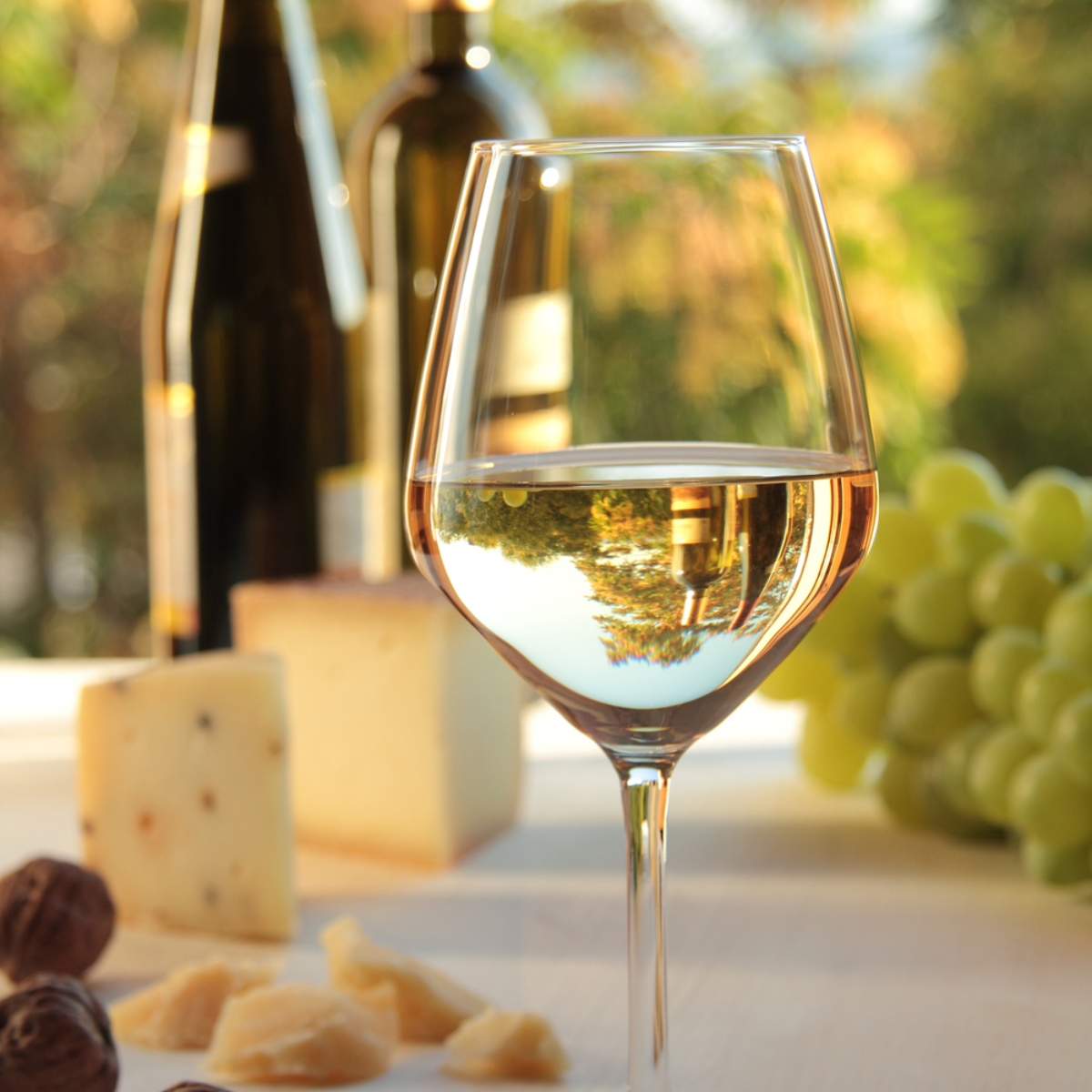 alpina Wijnglazen Witte Wijn - maximondo