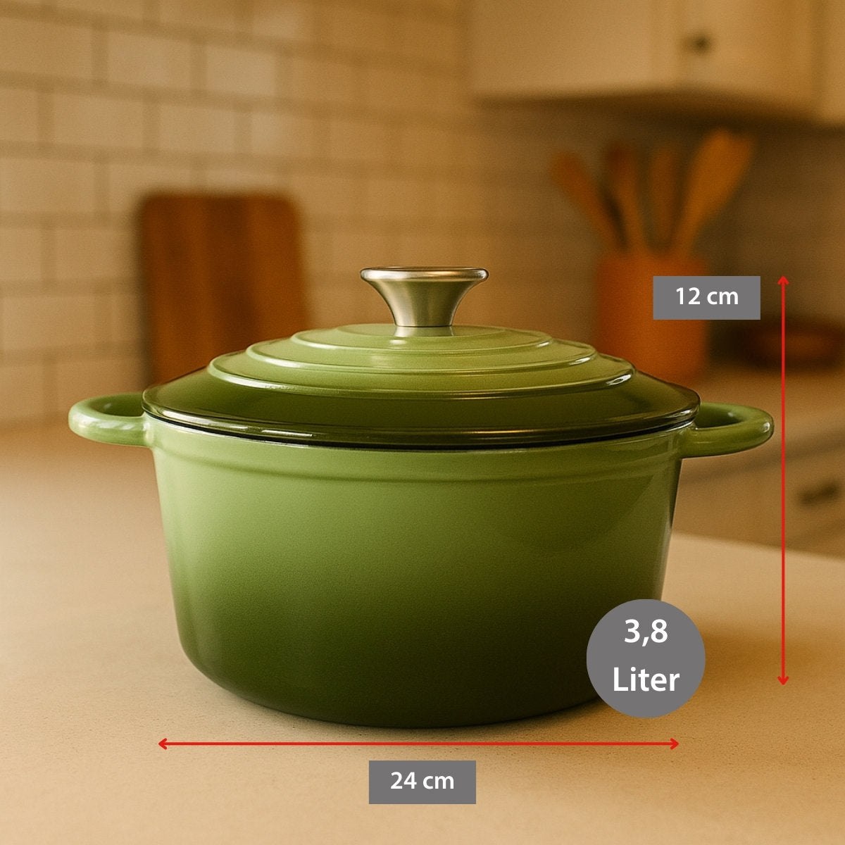 alpina Braadpan – Braadpan Inductie met Deksel 3,8 L Ø 24 cm