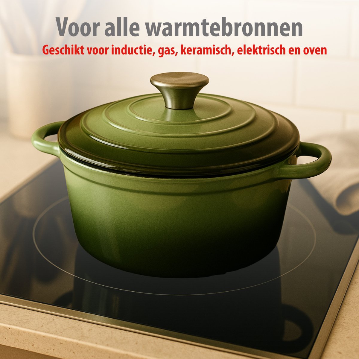 alpina Braadpan – Braadpan Inductie met Deksel 3,8 L Ø 24 cm