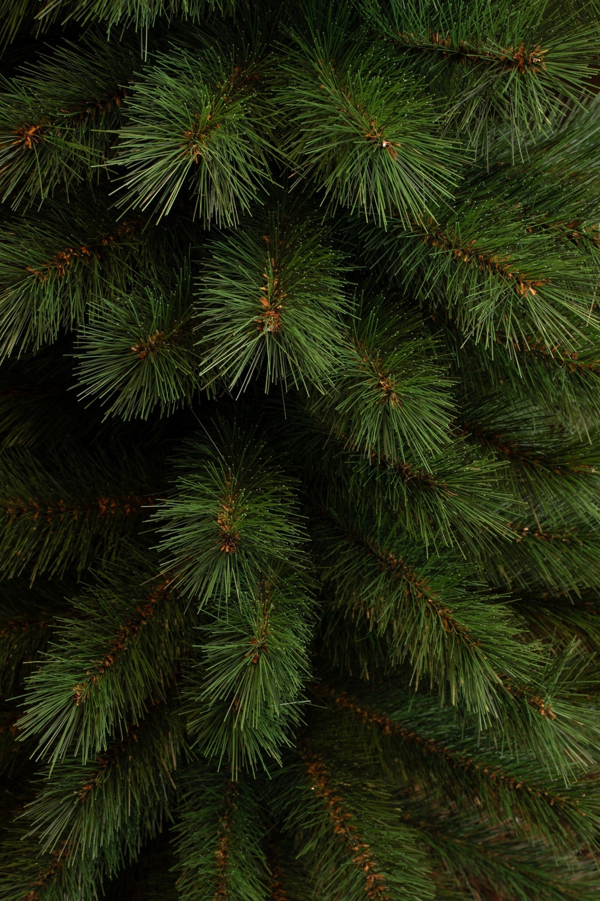 Black Box Trees Sotka Pilar kerstboom groen TIPS 363 - h260xd69cm - maximondo