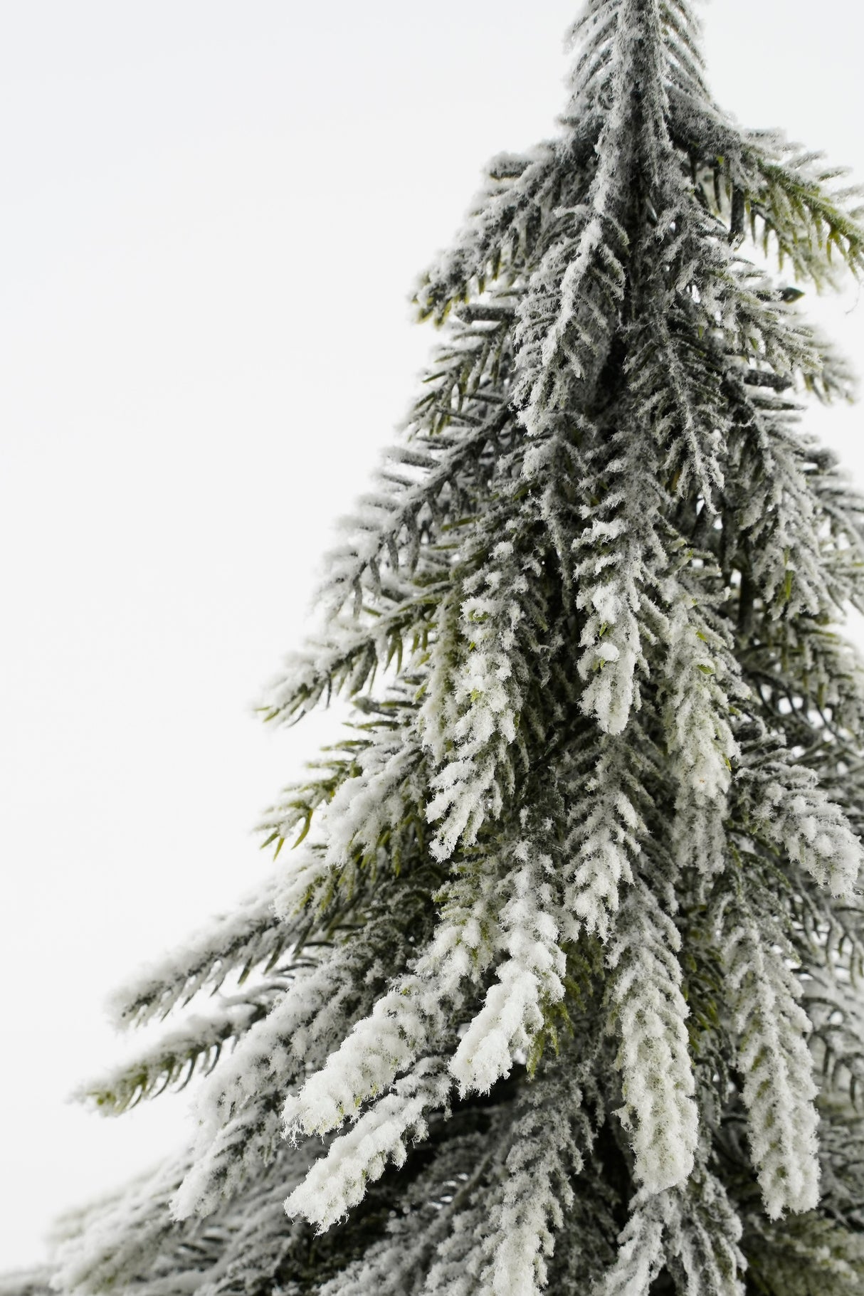 House of Seasons Kerstboom groen frosted TIPS 452 - h40xd22cm - maximondo