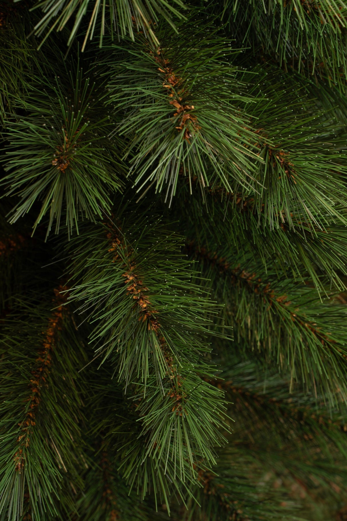 Black Box Trees Sotka Pilar kerstboom groen TIPS 363 - h260xd69cm - maximondo