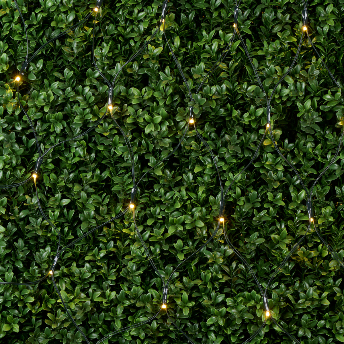 Arti Casa Kerst Netverlichting 6,5m 160 LED - maximondo