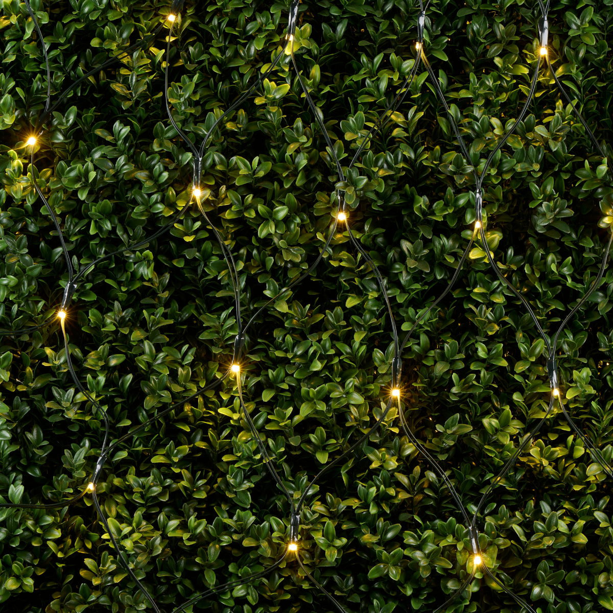 Arti Casa Kerst Netverlichting 6,5m 160 LED - maximondo