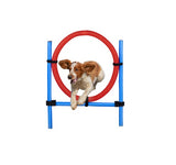 Dog Jump Ring Set