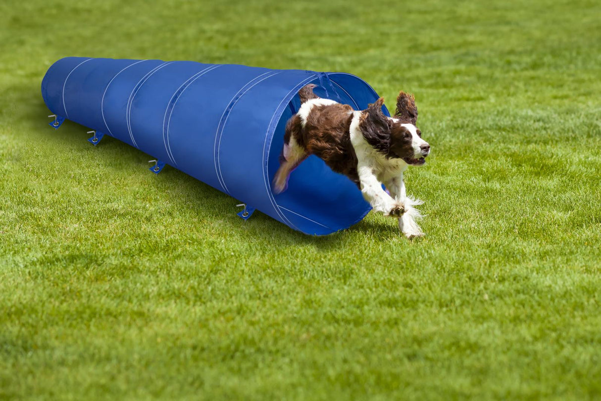 Agility voor de Hond Hondentunnel 3M