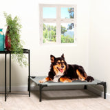 Pet Bed Elevated Medium