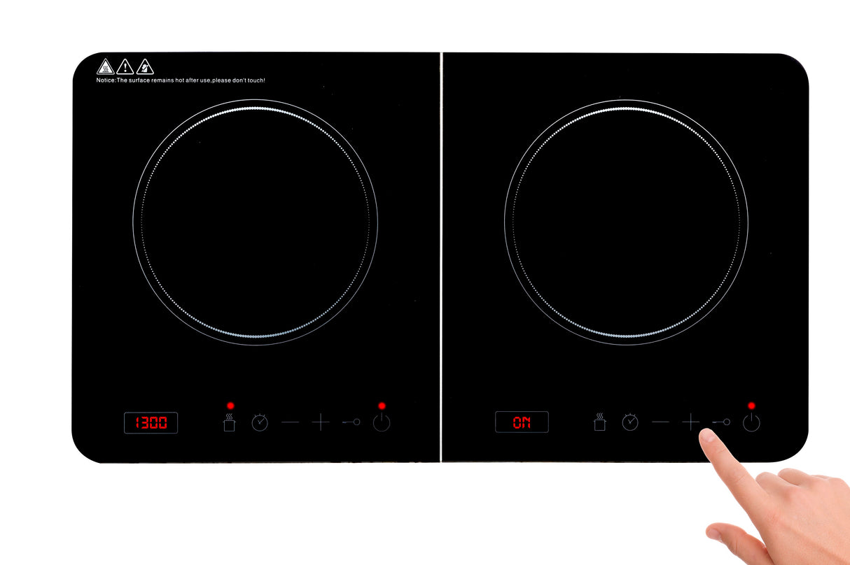 Induction cooker double