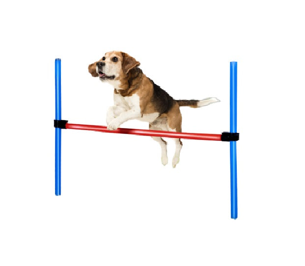 Agility Spring Stok