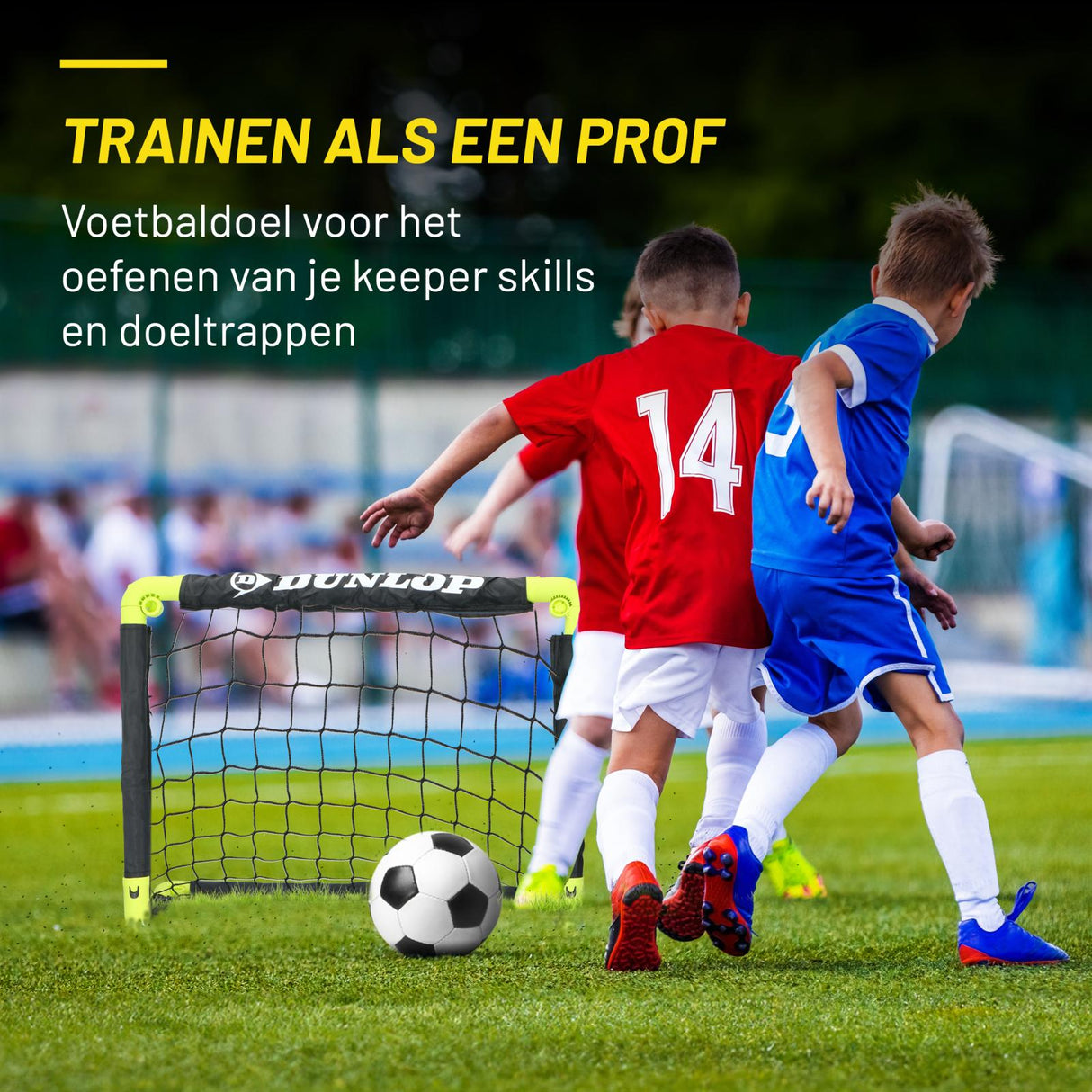 Voetbaldoelen Set