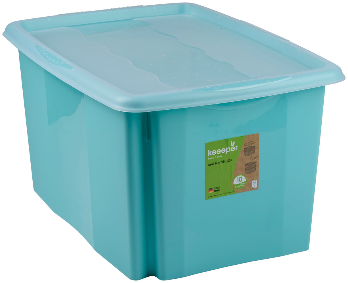 Opbergbox met Deksel 45L Blauw