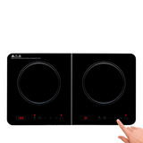 Induction cooker double