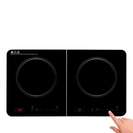 Induction cooker double