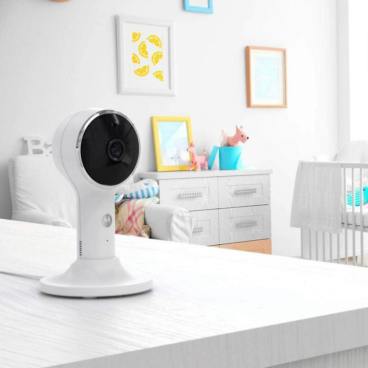 Motorola VM65X Babyfoon met Camera en App - maximondo